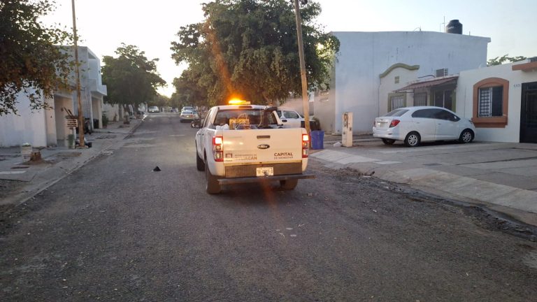 Fortalecen acciones de fumigación y descacharrización para prevenir la proliferación de moscos