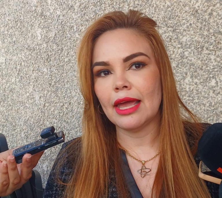 Lamenta Paola Gárate Diputada del PRI, el asesinato del joven universitario Ricardo Mizael: solo se dirigía a comprar alimento para unos gatitos