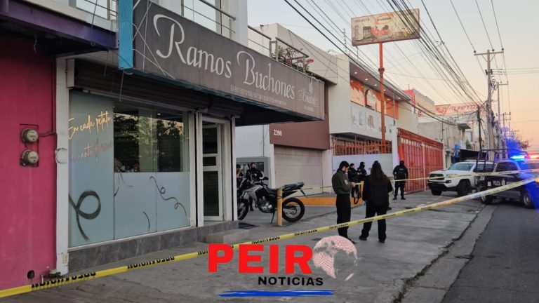 Sujetos armados tirotean negocio de venta de flores en la Colonia el Palmito Viejo |VIDEO