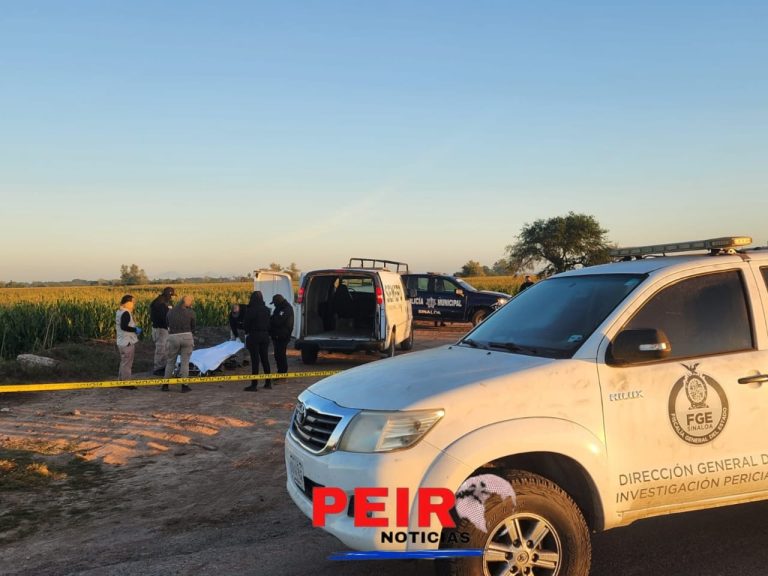 Sin reporte de robo de vehículos, tres "levantones" y tres personas sin vida reporta Fiscalía Sinaloa