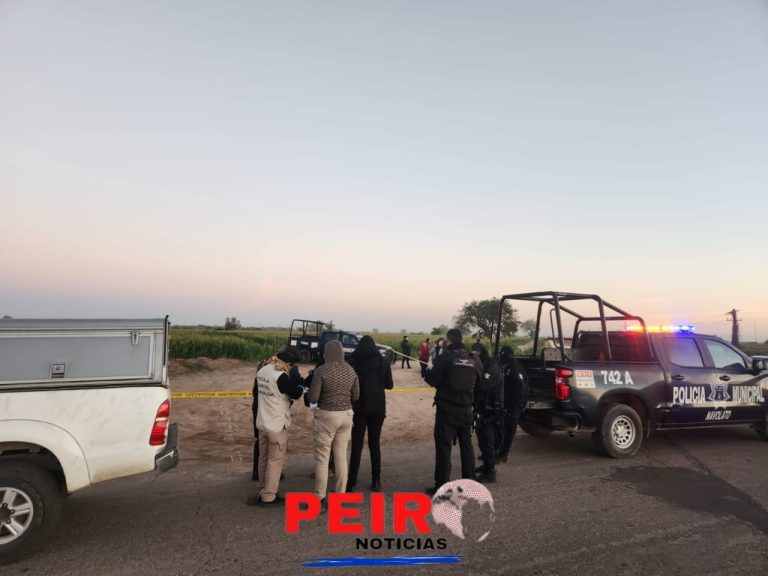 Envuelto en cobijas es encontrado sin vida un hombre en unas tierras de cultivo en Sataya, Navolato