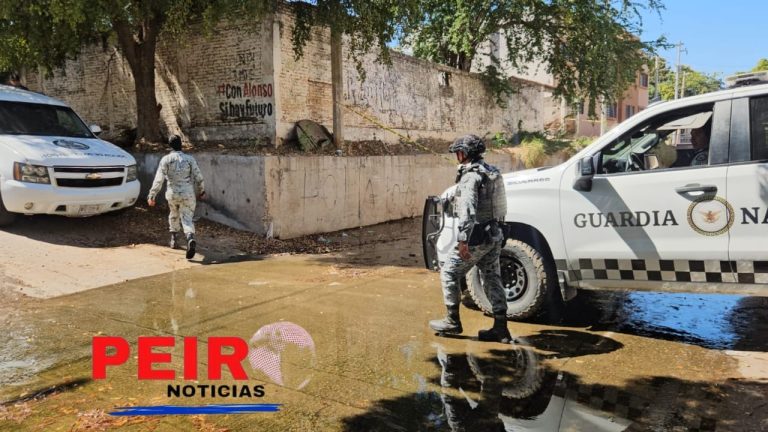 Un hombre es encontrado sin vida y en estado de descomposición en un terreno baldío de la Colonia 6 de Enero |VIDEO