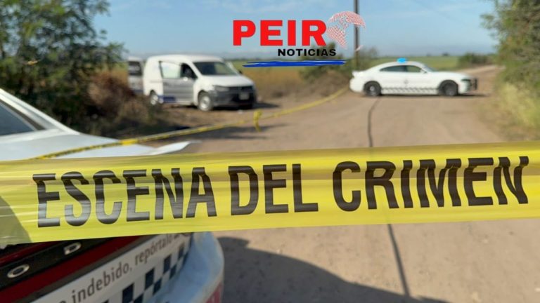 Una persona sin vida es encontrada por carretera Culiacán a Eldorado: entre unas tierras de cultivo