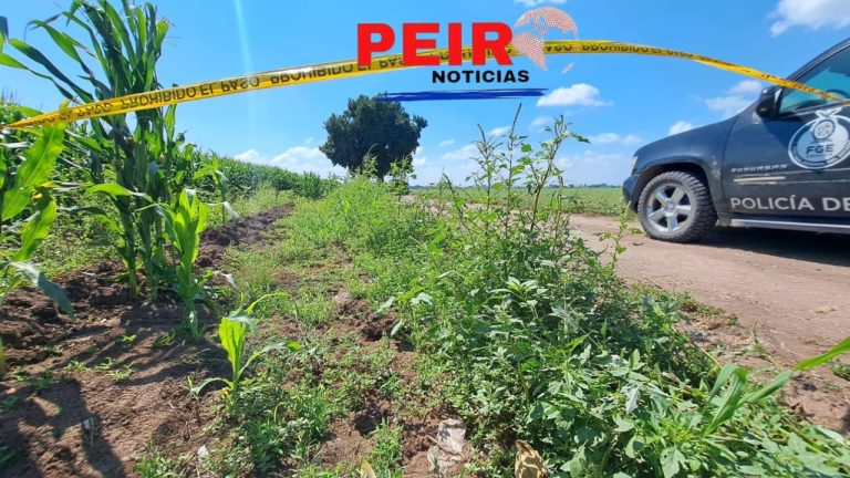 Sin homicidios: se registran tres "levantones" y seis robos de vehículo