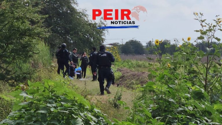 Entre unas tierras de cultivo en Navolato es encontrado asesinado Jesús Manuel |VIDEO