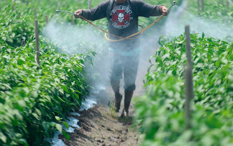 ONU insta a México a contar con leyes de sustancias químicas y plaguicidas peligrosos