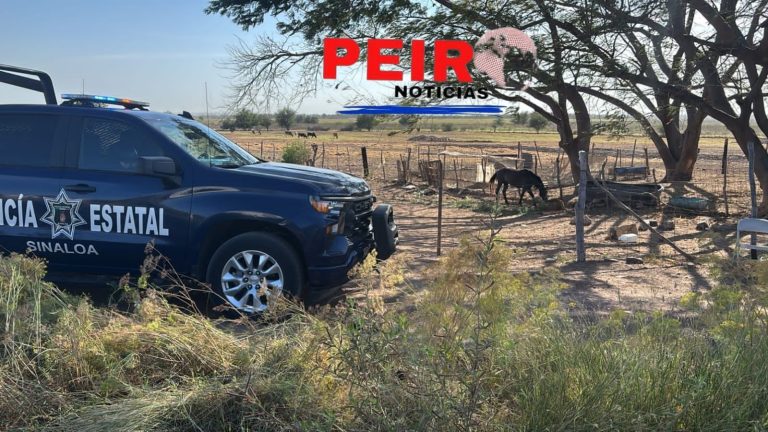 Reporta FGE dos "levantones", tres robo a vehículos y una persona sin vida