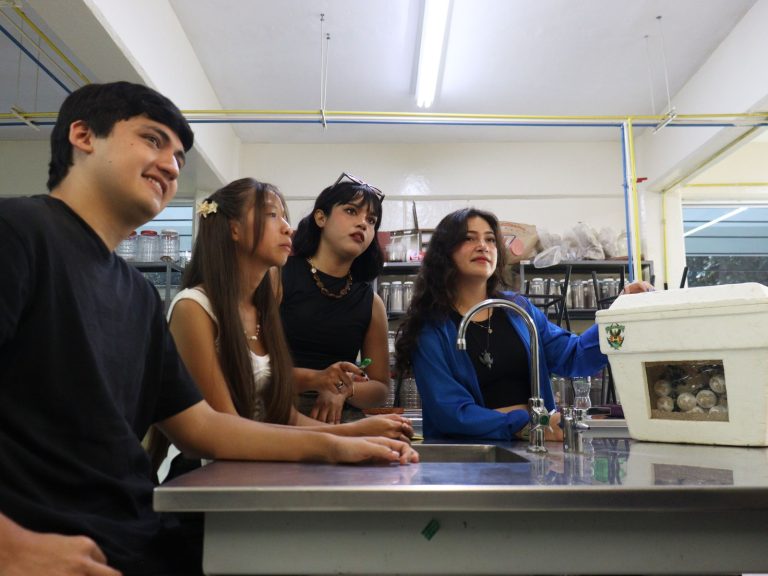 Tras 50 años de labor, el programa de tortuga marina de la UAS destaca en el Simposio Mundial de Hawái, posicionándose a nivel internacional