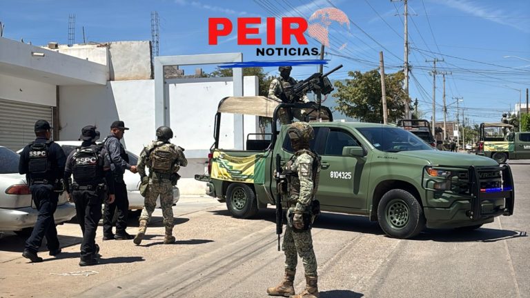 Localizan dos osamentas y cuatro personas son privadas de la libertad: FGE