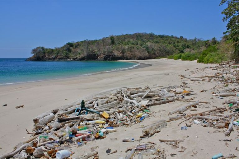 Post-Semana Santa: Contaminación por plástico aumenta un 70% en playas, advierte especialista; analiza el impacto ambiental tras el periodo vacacional