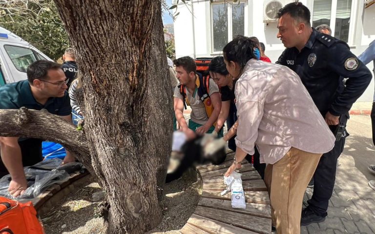 Turquía registra segundo tiroteo escolar en dos días; al menos 4 muertos y 20 heridos