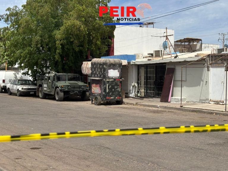 Al norte de Culiacán localizan y aseguran un "C4 clandestino": hay diez detenidos entre ellos una mujer