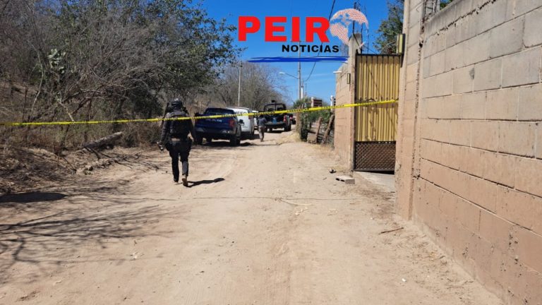 Operativo y enfrentamiento en Ayuné: hay dos hombres asesinados, un detenido y una finca, vehículos y armas aseguradas