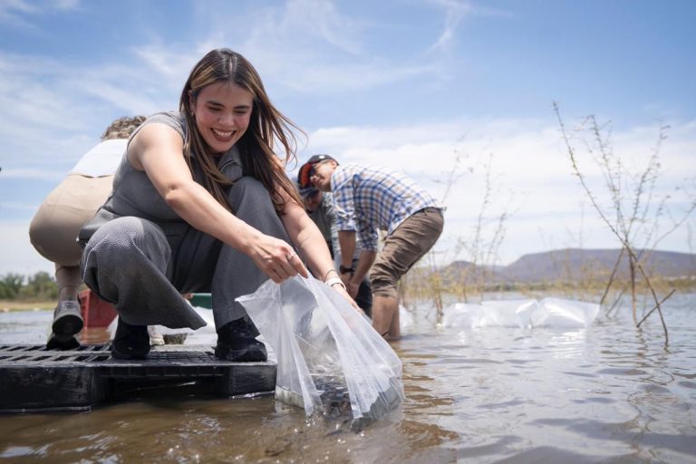 Liberarán 2 millones 300 mil alevines para la siembra en los 14 embalses de agua dulce del municipio