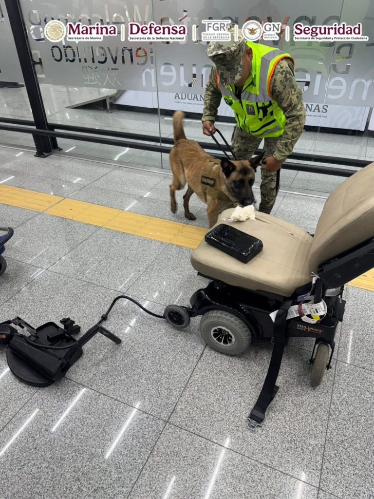 Sujeto oculta casi 9 kilos de cocaína en una silla de ruedas